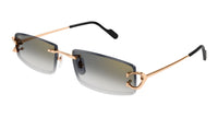 Cartier CT0465S 009