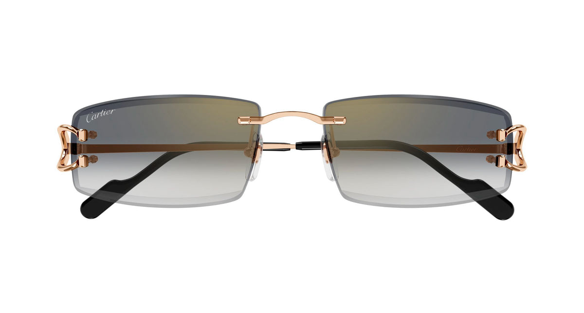 Cartier CT0465S 009