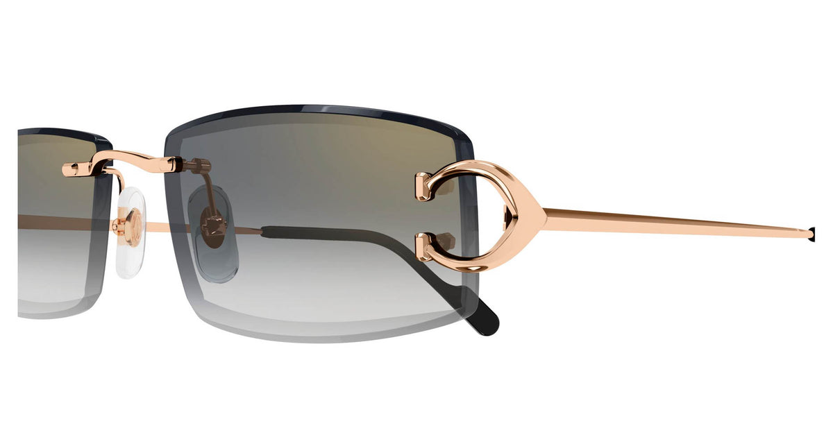 Cartier CT0465S 009