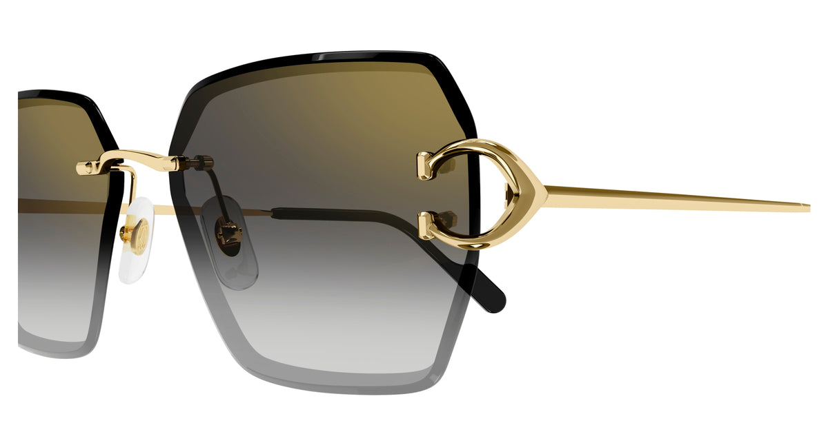 Cartier CT0466S 001 - As Seen On Allen Iverson