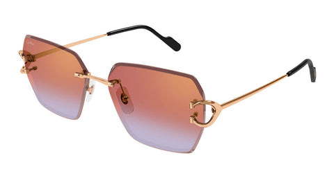 Cartier CT0466S 005