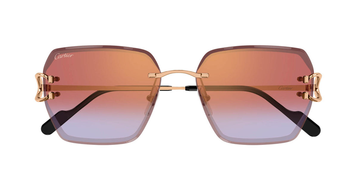 Cartier CT0466S 005