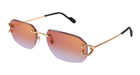 Cartier CT0468S 005