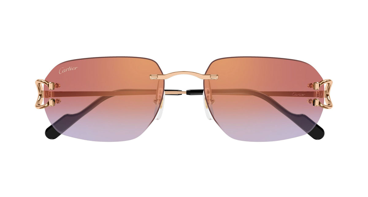 Cartier CT0468S 005