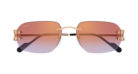 Cartier CT0468S 005