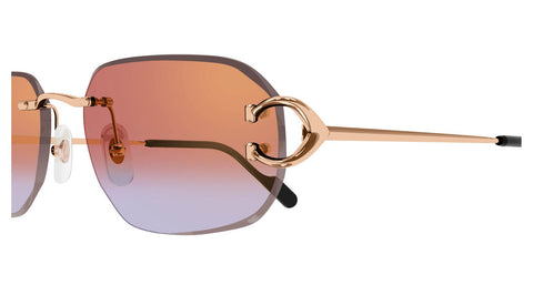Cartier CT0468S 005