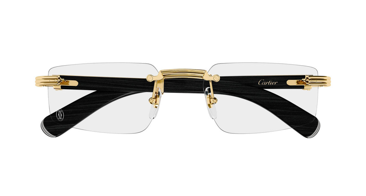 Cartier CT0485O 007