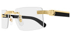 Cartier CT0485O 007