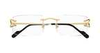 Cartier CT0488O 001