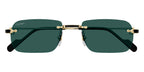 Cartier CT0498S 003