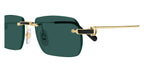 Cartier CT0498S 003