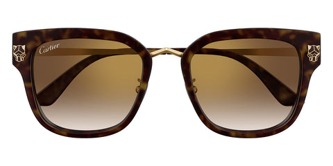 Cartier CT0509SA 002