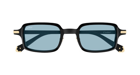 Cartier CT0539S 006