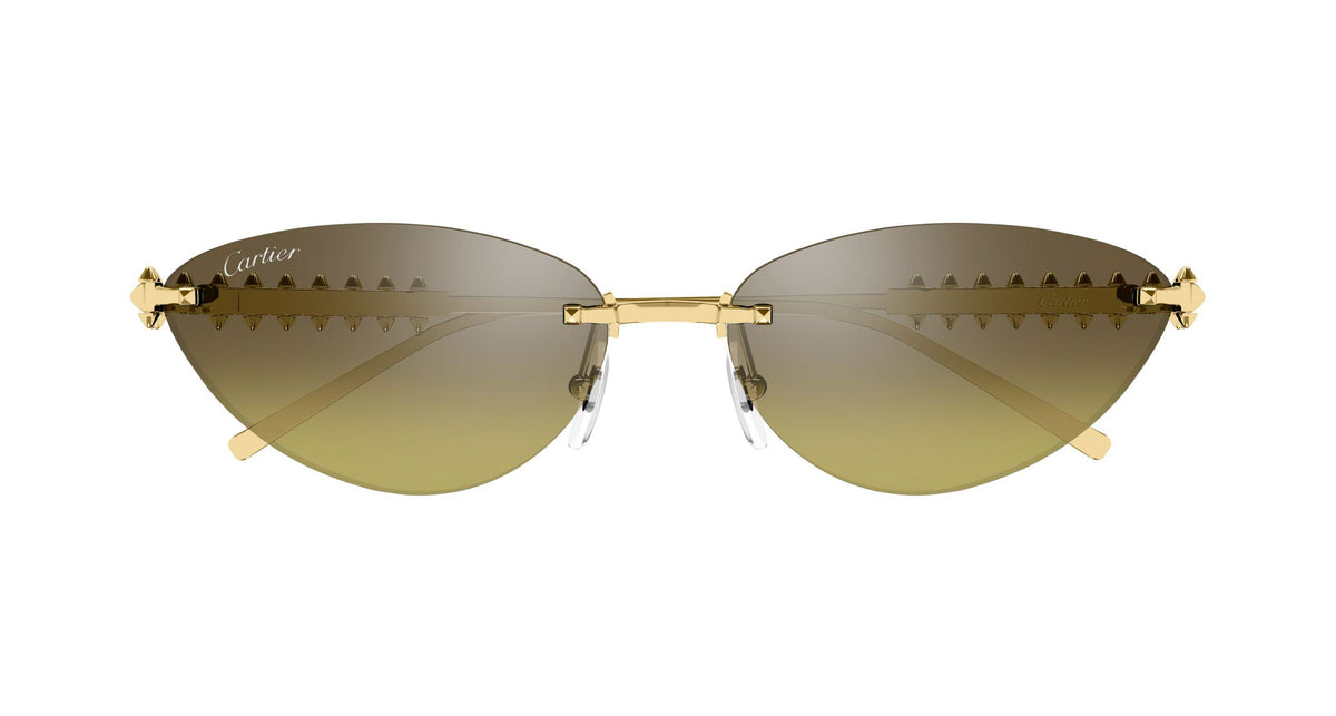 Cartier CT0543S 006