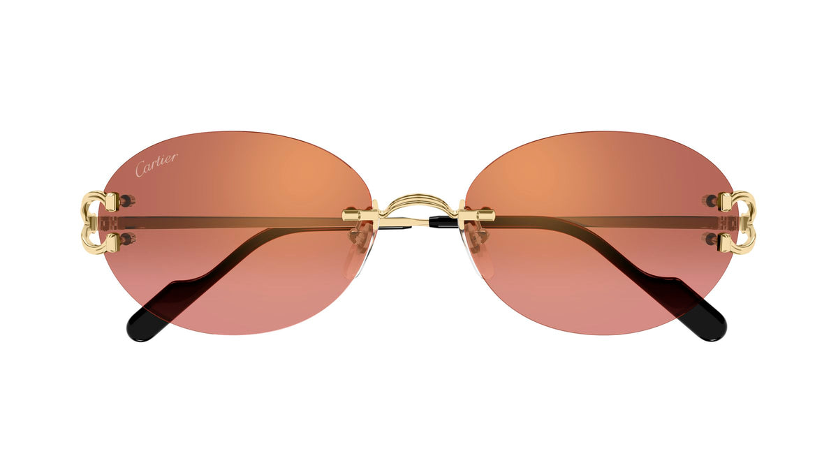 Cartier CT0551S 005