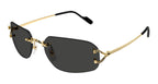 Cartier CT0663S 001