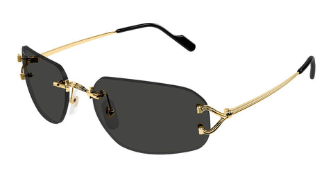 Cartier CT0663S 001