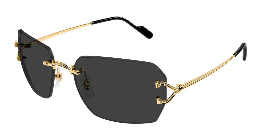 Cartier CT0664S 001