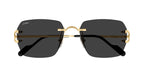 Cartier CT0664S 001