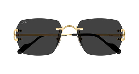 Cartier CT0664S 001