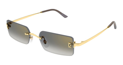 Cartier CT0672S 001