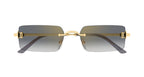 Cartier CT0672S 001