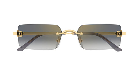 Cartier CT0672S 001