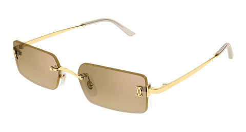 Cartier CT0672S 003
