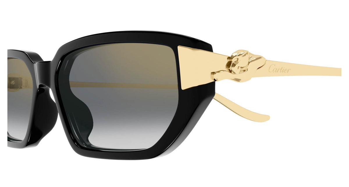 Cartier CT0674S 001