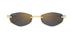 Cartier CT0675S 001