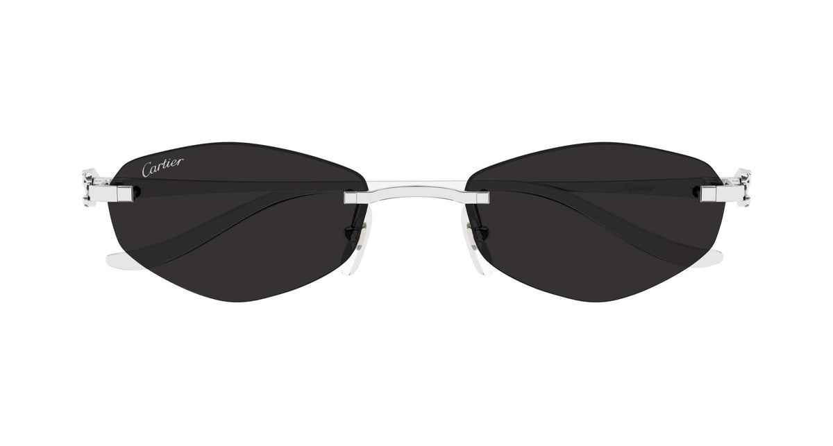 Cartier CT0675S 002