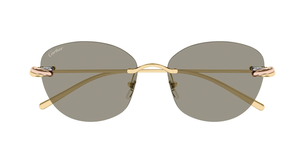 Cartier CT0685S 003