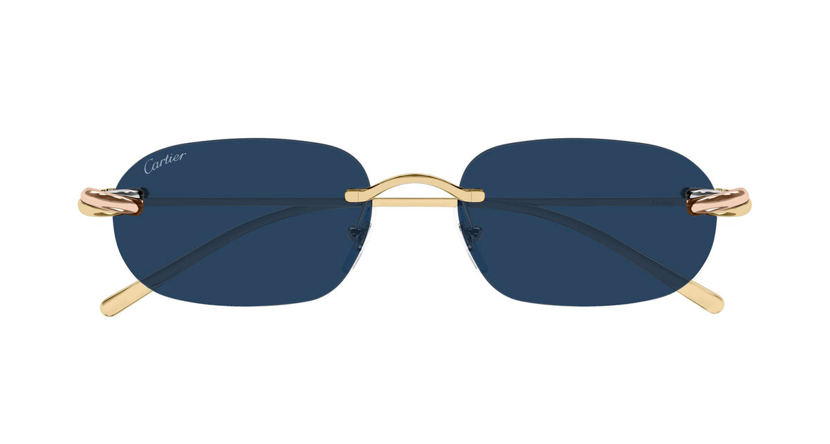 Cartier CT0686S 002