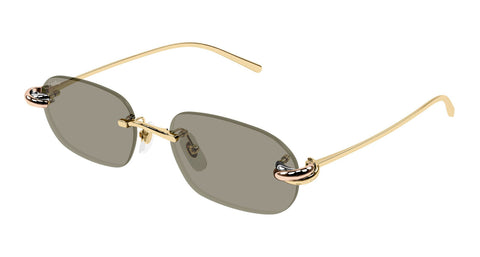Cartier CT0686S 003
