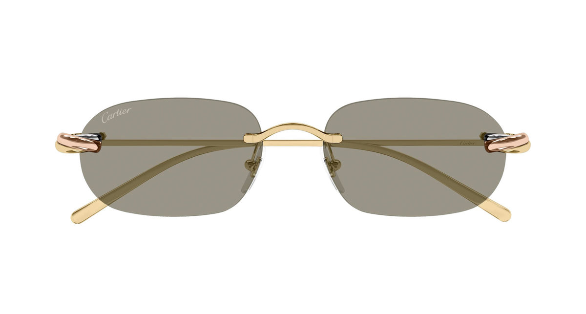 Cartier CT0686S 003
