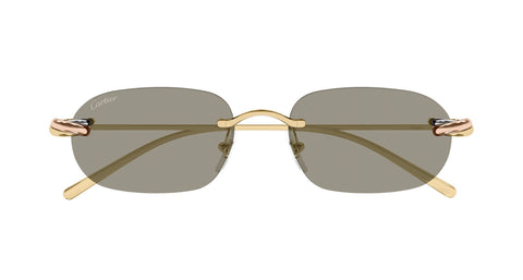 Cartier CT0686S 003