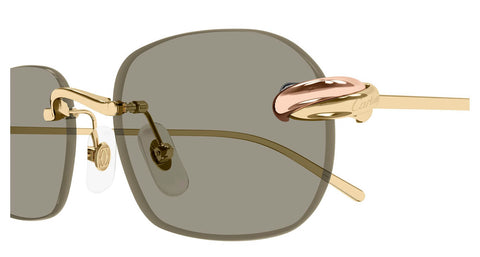 Cartier CT0686S 003