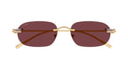Cartier CT0686S 004
