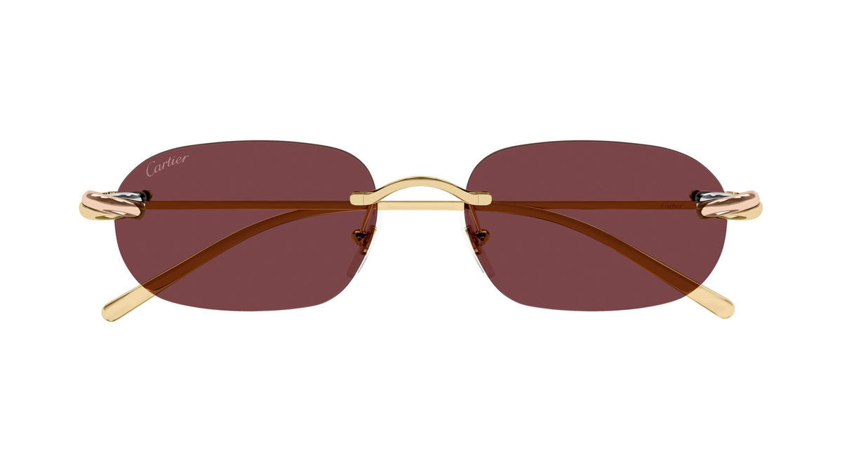 Cartier CT0686S 004