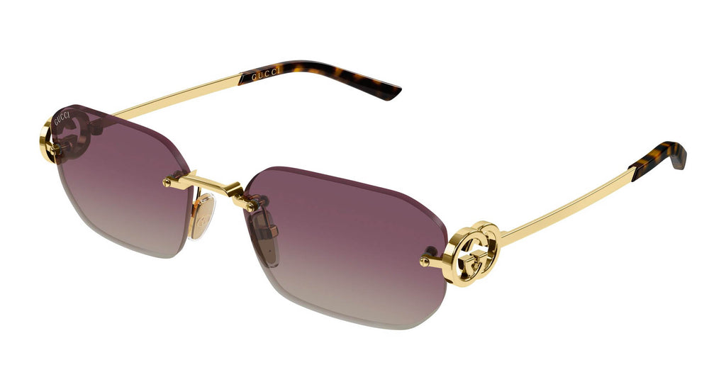 Gucci GG2228S 003