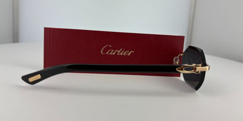 Cartier Buffalo Horn CT0439S 001 8C2 - As Seen On Jeezy
