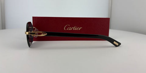 Cartier Buffalo Horn CT0439S 001 8C2 - As Seen On Jeezy