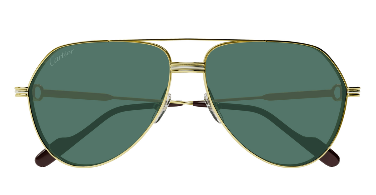 Cartier CT0303S 004