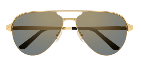 Cartier CT0386S 003