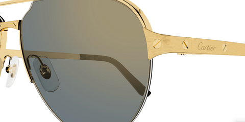 Cartier CT0386S 003