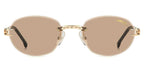 Carrera 1088/S RHL/70 Sunglasses