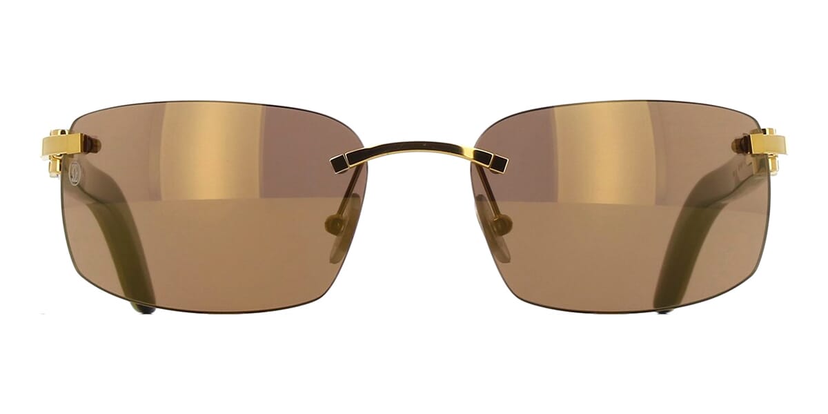 Cartier Buffalo Horn CT0046S 004 3JB Sunglasses