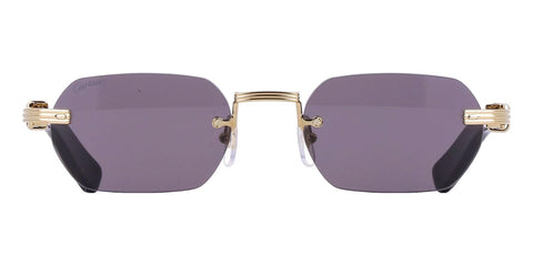 Cartier Buffalo Horn CT0362S 001 3J1 Sunglasses