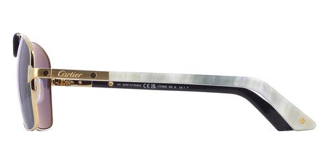 Cartier Buffalo Horn CT0389S 003 1H0 Polarised Sunglasses