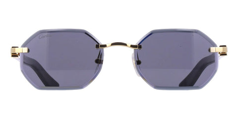Cartier Buffalo Horn CT0439S 001 1LD Sunglasses